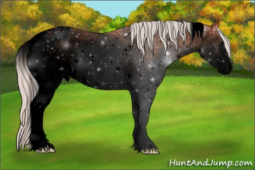 Horse Color:Void White Spotted Silver Bay Tobiano 