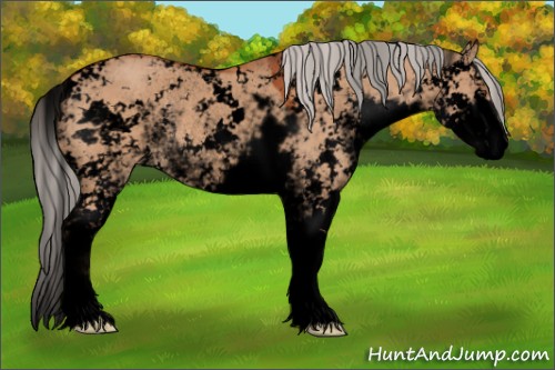 Horse Color:Void Silver Bay Dun Sabino Rabicano 