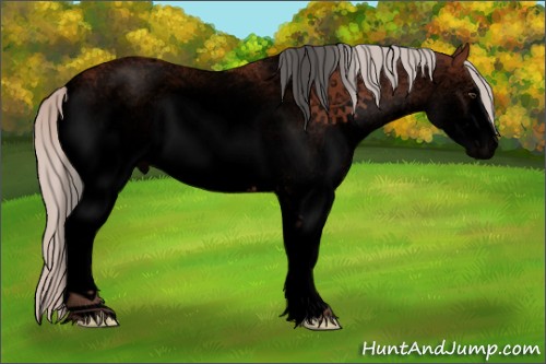 Horse Color:Void White Spotted Silver Brown Sabino 