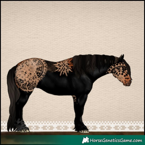 Horse Color:Void White Spotted Bay Dun Splash Rabicano 