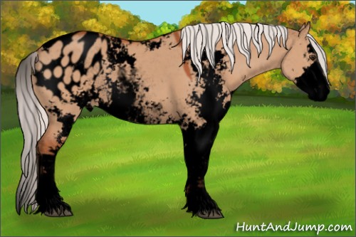 Horse Color:Void Silver Bay Dun Sabino Appaloosa Rabicano 