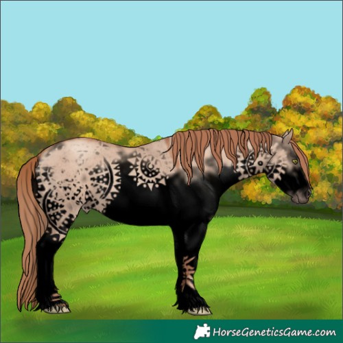 Horse Color:Void White Spotted Gold Champagne Dun Frame 