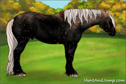 Horse Color:Void White Spotted Silver Bay Dun 
