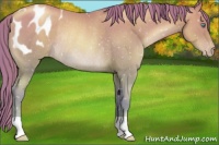 Horse Color:Watercolor Brown Pearl Appaloosa Rabicano