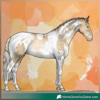 Horse Color:White Spotted Silver Buckskin Pearl Tobiano