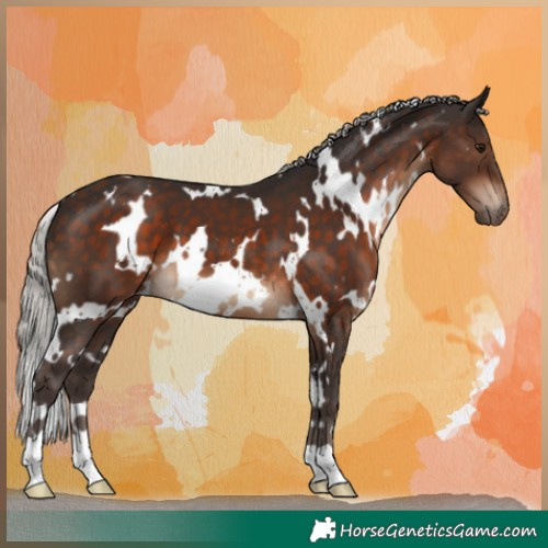 Horse Color:White Spotted Silver Brown