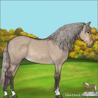 Horse Color:Silver Brown Dun Mushroom Sabino 