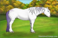 Horse Color:Watercolor White Spotted Amber Cream Champagne Ice 