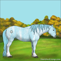 Horse Color:Watercolor Black Ice Tobiano Rabicano 