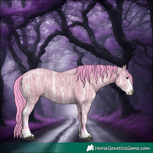 Horse Color:Watercolor Grullo Ice Sabino 