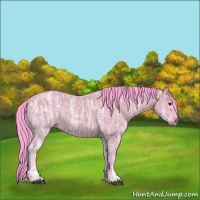 Horse Color:Watercolor Grullo Ice Sabino 