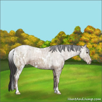 Horse Color:White Spotted Classic Champagne Ice Sabino 