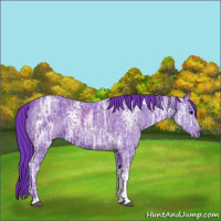Horse Color:Watercolor White Spotted Black Ice 