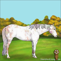 Horse Color:Nacre White Spotted Silver Sable Champagne Ice Appaloosa 