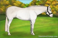 Horse Color:Smoky Creme 