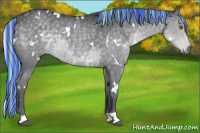 Horse Color:Painted White Spotted Silver Black Chinchilla 