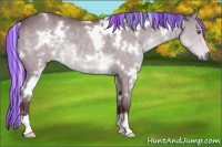 Horse Color:Painted White Spotted Chocolate Silver Grullo Chinchilla