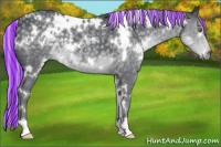 Horse Color:Painted White Spotted Silver Black Chinchilla 