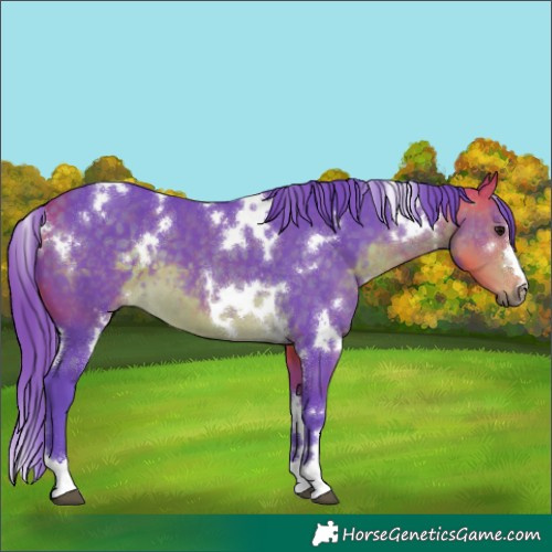 Horse Color:Watercolor White Spotted Buckskin 