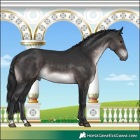 Horse Color:Platinum Brown 
