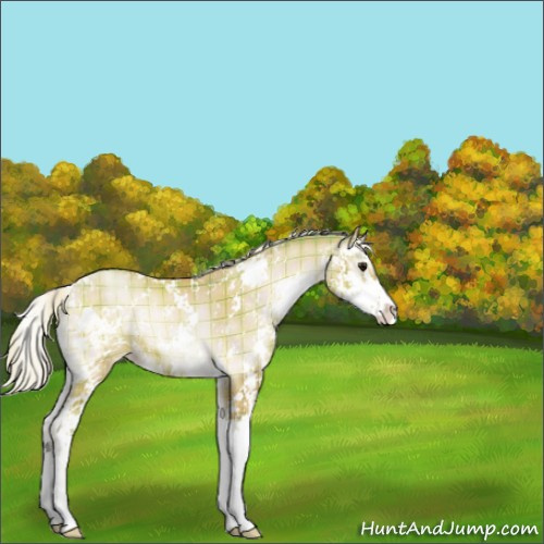 Horse Color:Watercolor Plaid  Silver Brown Pearl Onyx Sabino 