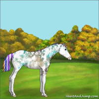 Horse Color:Painted Plaid  Silver Blue Onyx Sabino 