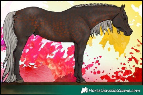 Horse Color:Silver Brown 