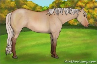 Horse Color:Silver Brown Dun 