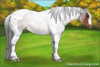 Horse Color:Brown Tobiano Rabicano 