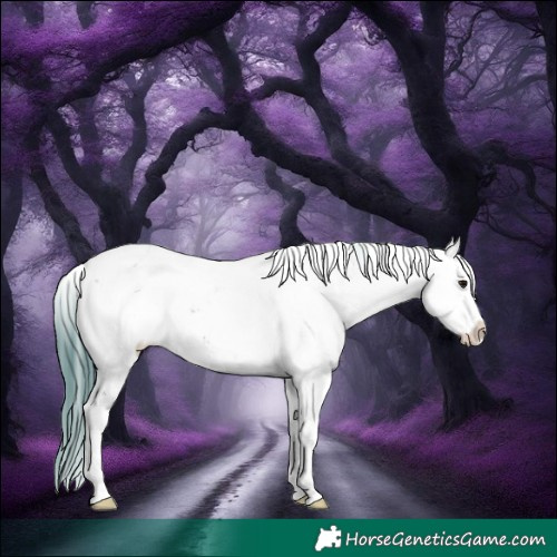 Horse Color:Watercolor Brown Sabino 