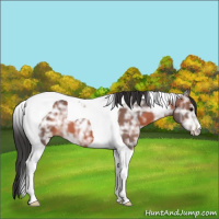Horse Color:Brown Ice Tobiano 