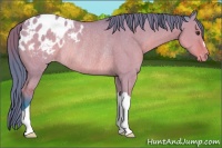 Horse Color:Watercolor Bay Dun Appaloosa Rabicano 