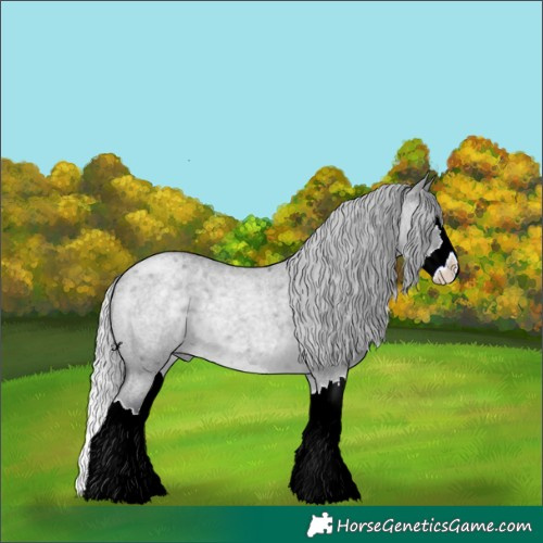 Horse Color:Silver Grullo Chinchilla Roan Splash 