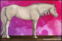 Horse Color:Chocolate Palomino Pearl