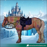 Horse Color:Nacre Chestnut Rabicano 