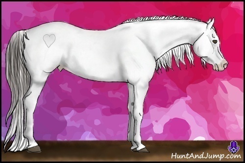 Horse Color:Liver Chestnut Fewspot 