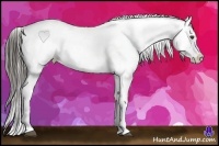 Horse Color:Liver Chestnut Fewspot