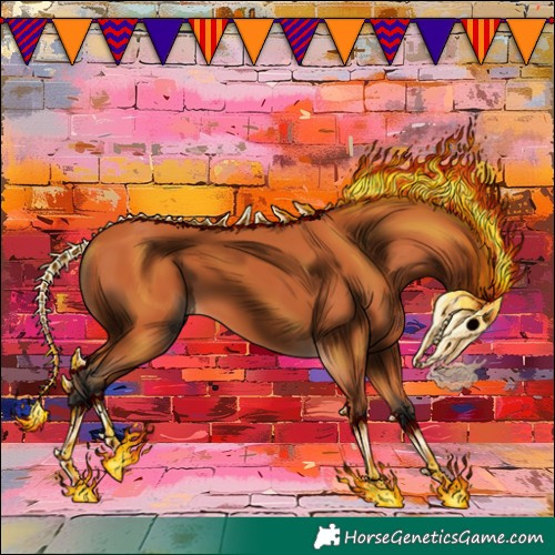Horse Color:Bay 