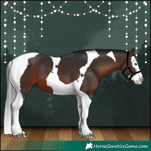 Horse Color:Brown Splash Tobiano