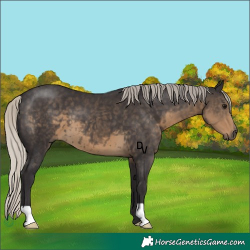 Horse Color:Silver Smoky Black 