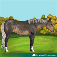 Horse Color:Silver Smoky Black 