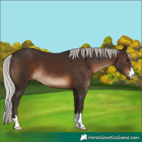 Horse Color:Silver Brown 