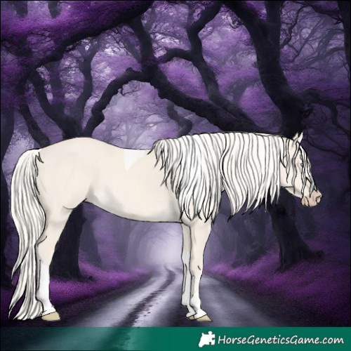 Horse Color:Cremello Dun Tobiano 