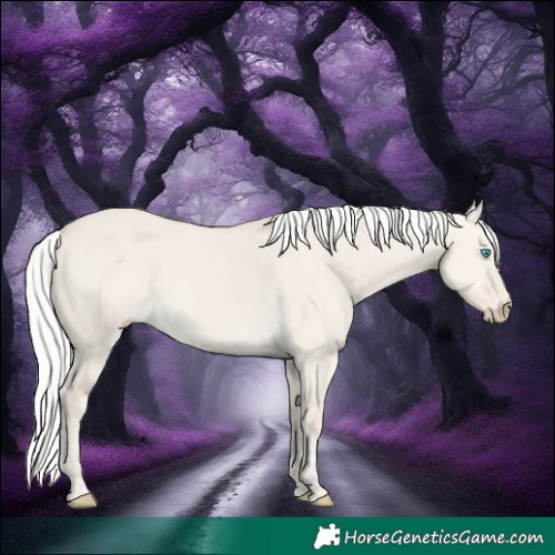Horse Color:Silver Smoky Creme Dun 