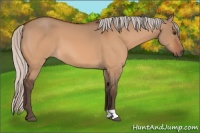 Horse Color:Silver Brown Dun 