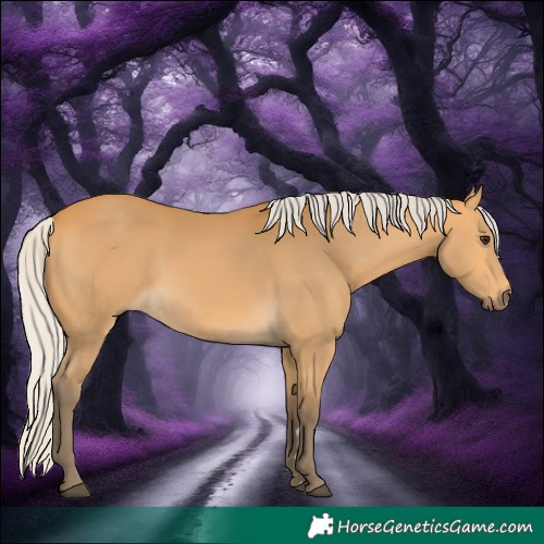 Horse Color:Silver Buckskin 