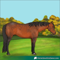 Horse Color:Brown 