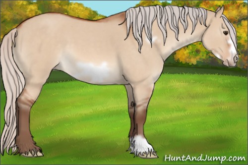 Horse Color:Silver Brown Roan Dun Frame 