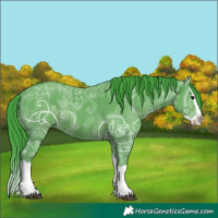 Horse Color:Watercolor Black Ice Splash 