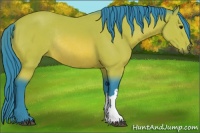 Horse Color:Watercolor Bay Rabicano 